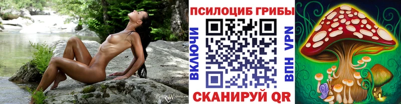 Галлюциногенные грибы MAGIC MUSHROOMS  Суворов 